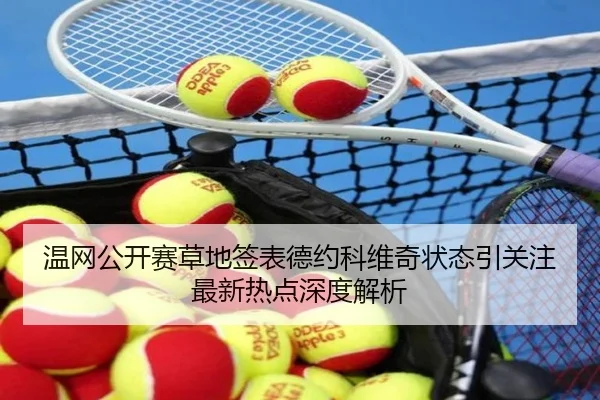 温网公开赛草地签表德约科维奇状态引关注最新热点深度解析
